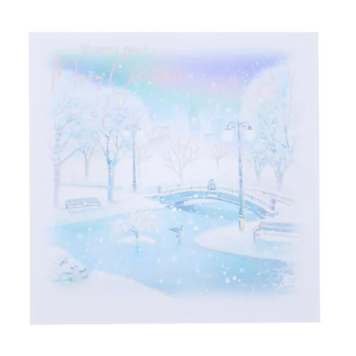 18 Charity Christmas Cards - Iridescent Snow (2 Designs)