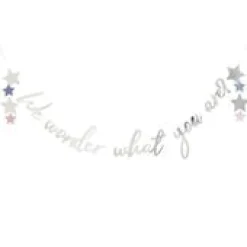 Gender Reveal Party Bundle