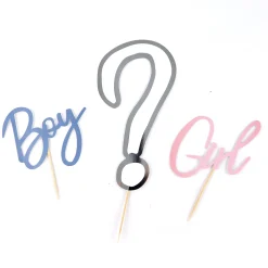 Gender Reveal Party Bundle