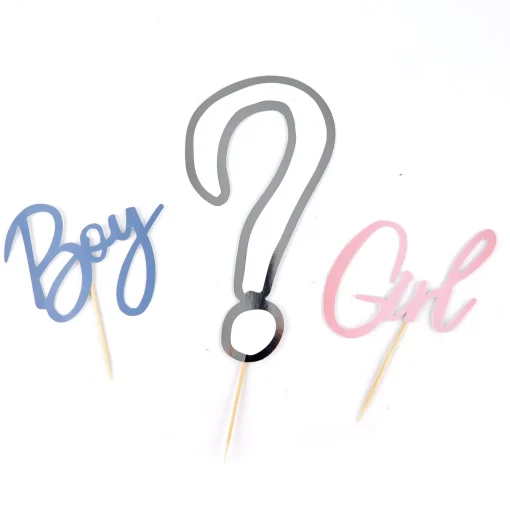 Gender Reveal Party Bundle