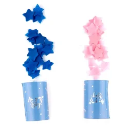 Gender Reveal Party Bundle