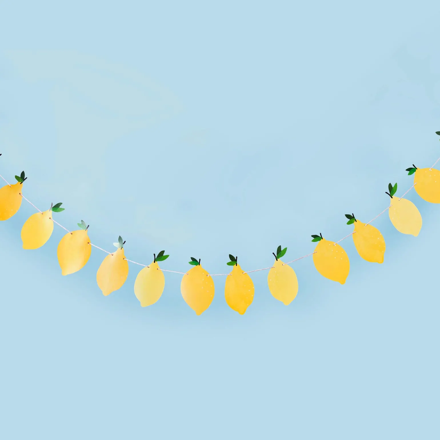 Lemon Card Garland