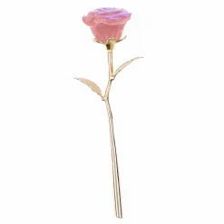 Mum's Care & Love Ornamental Rose