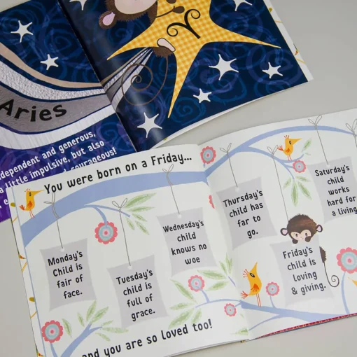 Personalised Children's Book - The Day You Were Born