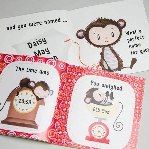 Personalised Children's Book - The Day You Were Born