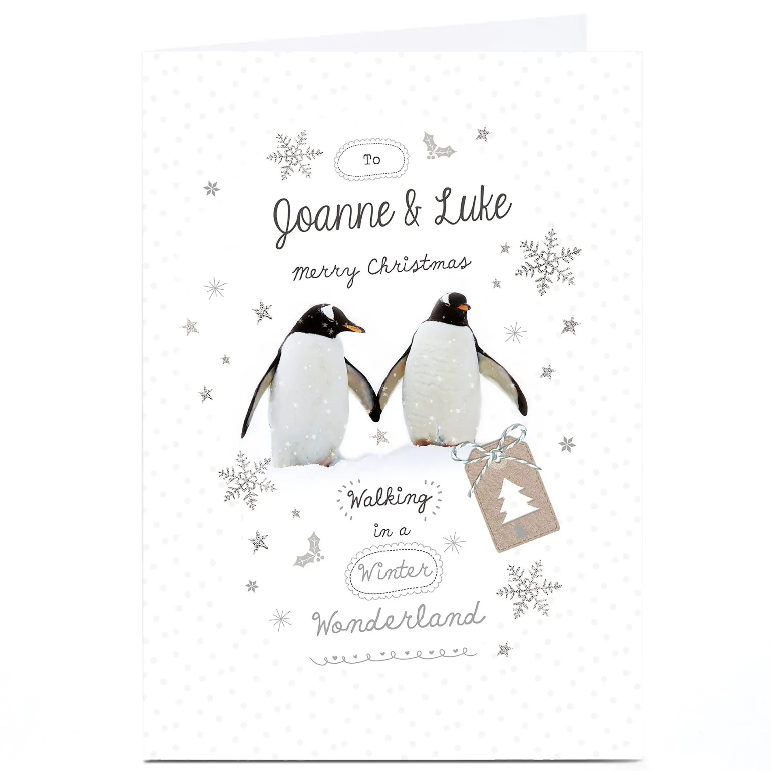Personalised Christmas Card - Penguin Couple