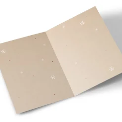 Personalised Christmas Card - Rocking Robin