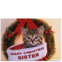 Personalised Christmas Card - Christmas Cat Sister