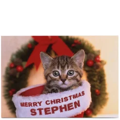 Personalised Christmas Card - Cat In A Stocking