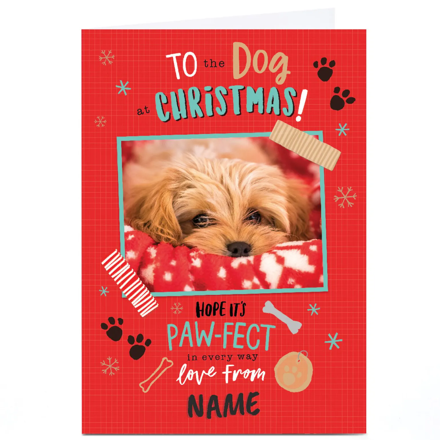 Photo Christmas Card - To the Dog at Christmas