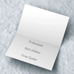 Photo Christmas Card - To A Special Dad