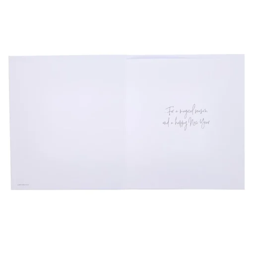 Premium Robin & Holly Christmas Cards - Pack of 10 (2 Designs)