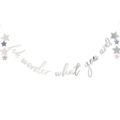 Silver We Wonder What You Are? Card Banner 2m