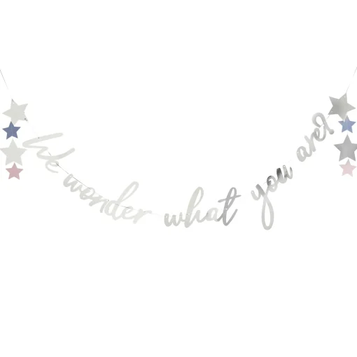 Silver We Wonder What You Are? Card Banner 2m