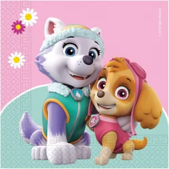 Skye & Everest Paw Patrol Party Tableware & Decorations Bundle - 16 Guests