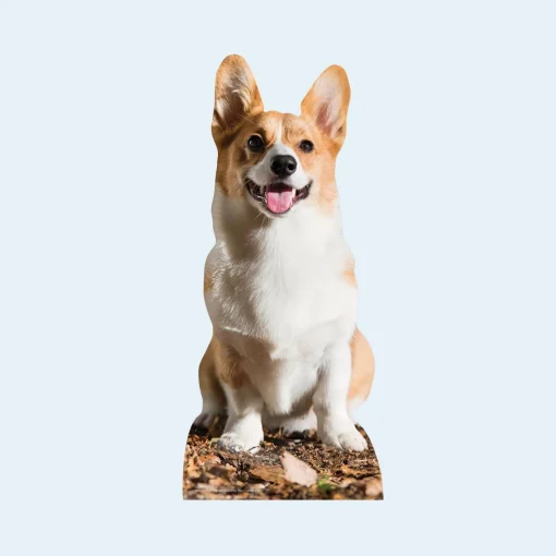 Small Personalised Photo-Upload Cardboard Cutout - 90cm