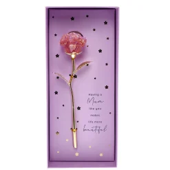 Special Mum Ornamental Flower