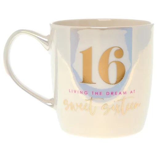 Sweet 16 Living The Dream Mug In A Box
