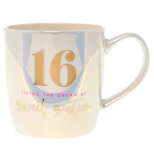 Sweet 16 Living The Dream Mug In A Box
