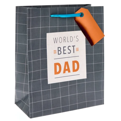 World's Best Dad Medium Portrait Gift Bag